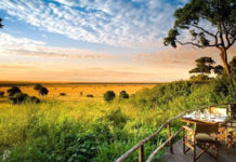 Go Self Driving on Honeymoon Holiday in Uganda Safari Honeymoon in Uganda