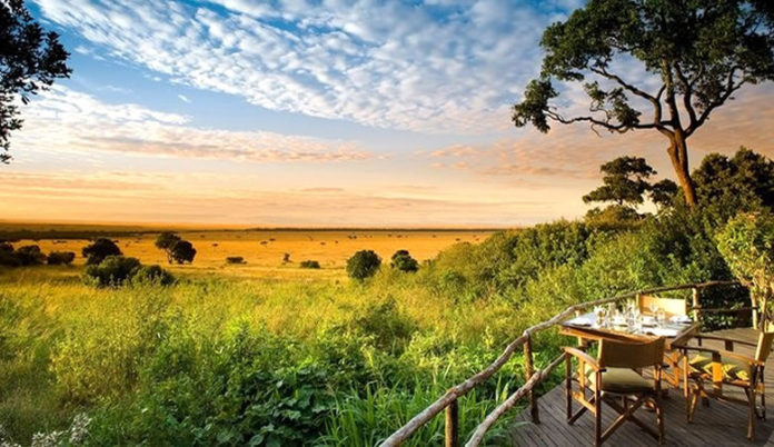 Safari Honeymoon in Uganda