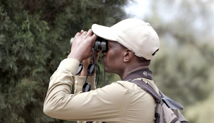 Lets Go Birding in Uganda