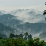 bwindi-national-park