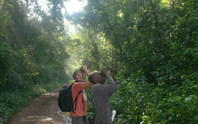 Mabira Forest Tours