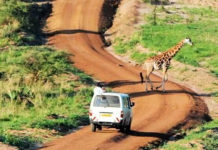 Hire a 4×4 Safari Van for Uganda Road Trip Road Tripping Uganda