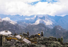 Most Popular Hiking Tours in the Rwenzori Mountains Rwenzori Mountains