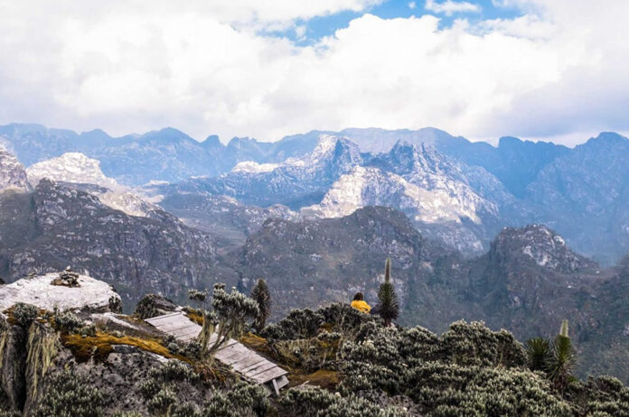 Rwenzori Mountains