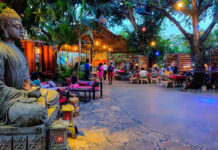 Asian Fusion Restaurant: A Fun Culinary Journey to China and India Asian Fusion Restaurant