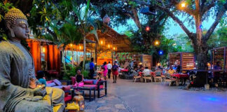 Asian Fusion Restaurant: A Fun Culinary Journey to China and India Asian Fusion Restaurant