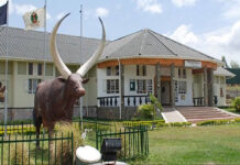 Igongo – The Biggest Cultural Museum in Western Uganda Igongo Cultural Museum