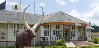 Igongo – The Biggest Cultural Museum in Western Uganda Igongo Cultural Museum