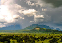 Pian Upe: A Beauty Worth the Journey Pian Upe Wildlife Reserve