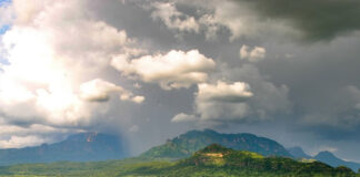 Pian Upe: A Beauty Worth the Journey Pian Upe Wildlife Reserve